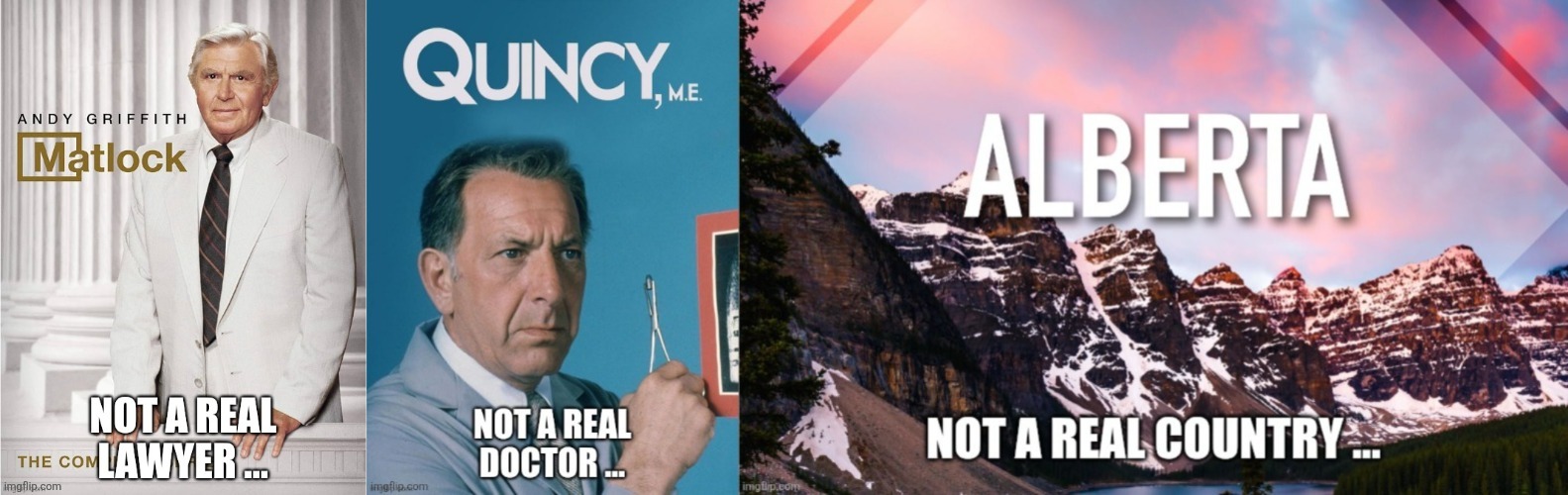 Canadian politics | image tagged in political meme | made w/ Imgflip meme maker