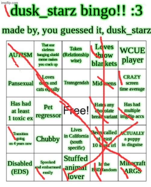 the bingo? Idk | image tagged in dusk_starz's bingo,bruh | made w/ Imgflip meme maker