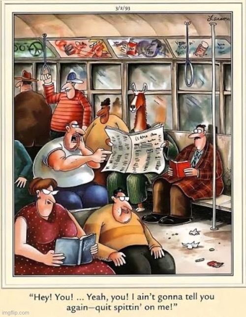 What did you expect? He’s a llama. | image tagged in the far side,comics,llama,spitting,angry man,warning | made w/ Imgflip meme maker