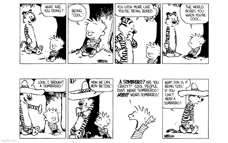 image tagged in calvin and hobbes,comics | made w/ Imgflip meme maker