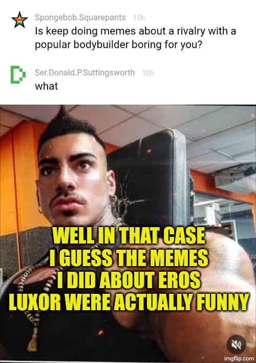 I asked Ser.Donald if these memes about Eros were ok | WELL IN THAT CASE I GUESS THE MEMES I DID ABOUT EROS LUXOR WERE ACTUALLY FUNNY | image tagged in eros luxor before | made w/ Imgflip meme maker