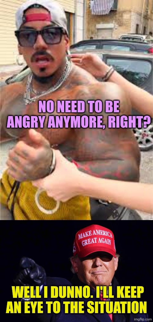 NO NEED TO BE ANGRY ANYMORE, RIGHT? WELL I DUNNO. I'LL KEEP AN EYE TO THE SITUATION | image tagged in eros luxor confused,donald trump | made w/ Imgflip meme maker