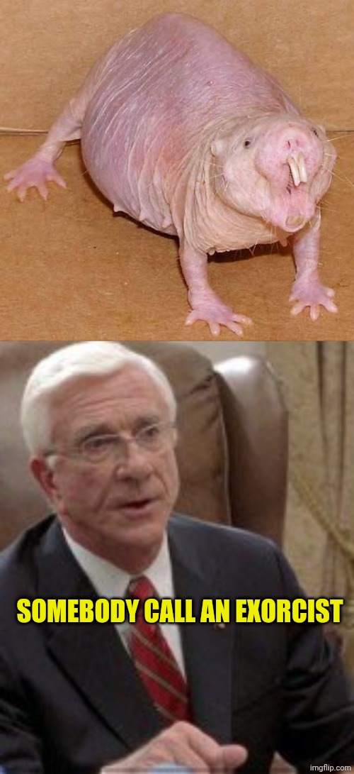 SOMEBODY CALL AN EXORCIST | image tagged in naked mole rat,mi chiami il presidente scary movie 3 | made w/ Imgflip meme maker