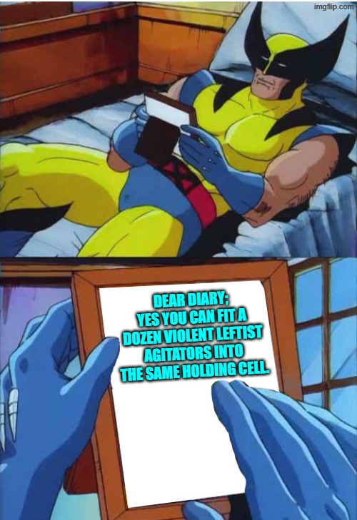 How to put a smile on Wolverine's face. | DEAR DIARY; YES YOU CAN FIT A DOZEN VIOLENT LEFTIST AGITATORS INTO THE SAME HOLDING CELL. | image tagged in wolverine remember | made w/ Imgflip meme maker