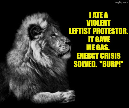 Modern problems require innovative solutions. | I ATE A VIOLENT LEFTIST PROTESTOR.  IT GAVE ME GAS.  ENERGY CRISIS SOLVED.  "BURP!" | image tagged in the lion | made w/ Imgflip meme maker