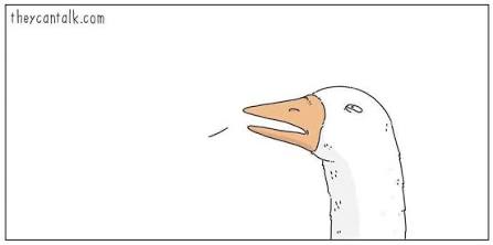 Goose down asking 1st panel Blank Meme Template