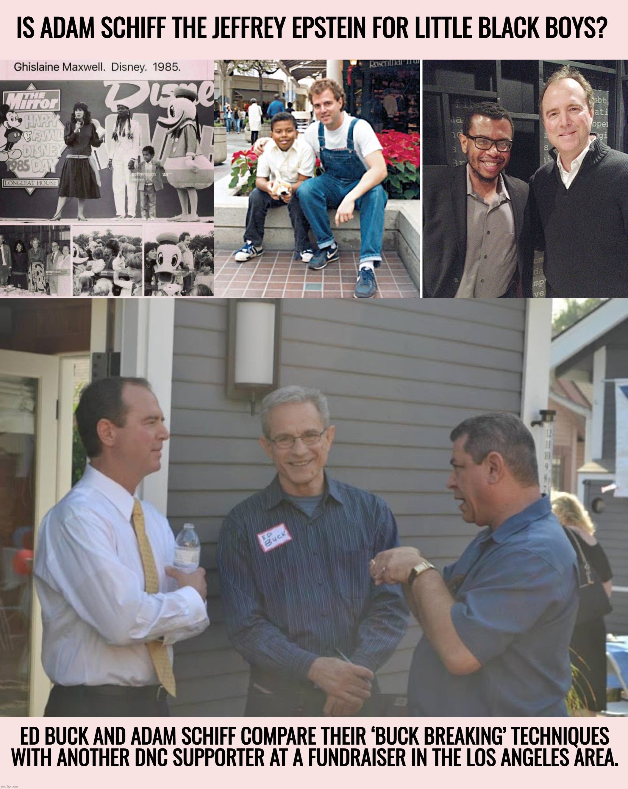 “It's a rigged system.” — Donald Trump | image tagged in adam schiff,jeffrey epstein,disney,ukraine,israel,california | made w/ Imgflip meme maker