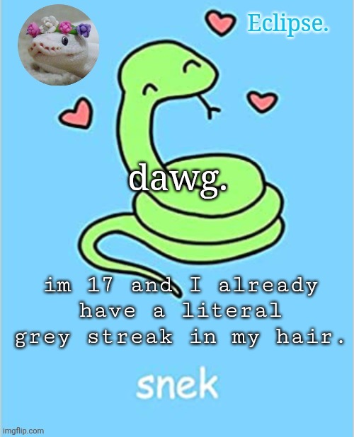 am I cooked | dawg. im 17 and I already have a literal grey streak in my hair. | image tagged in h | made w/ Imgflip meme maker