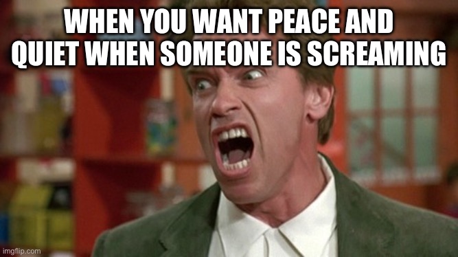 arnold schwarzenegger screaming kindergarten cop | WHEN YOU WANT PEACE AND QUIET WHEN SOMEONE IS SCREAMING; SHUT UP! | image tagged in arnold schwarzenegger screaming kindergarten cop | made w/ Imgflip meme maker