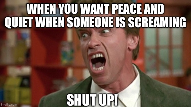 Shut up: I am studying here!  This is a library! | WHEN YOU WANT PEACE AND QUIET WHEN SOMEONE IS SCREAMING; SHUT UP! | image tagged in arnold schwarzenegger,kindergarten,shut up,kindergarten cop,school,studying | made w/ Imgflip meme maker