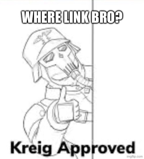 Krieg aproved | WHERE LINK BRO? | image tagged in krieg aproved | made w/ Imgflip meme maker