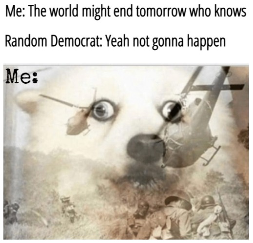 I'm Atheist but have become open to the idea that most lefties are indirect omens from the spirit world | image tagged in ptsd dog,funny,democrats,politics | made w/ Imgflip meme maker