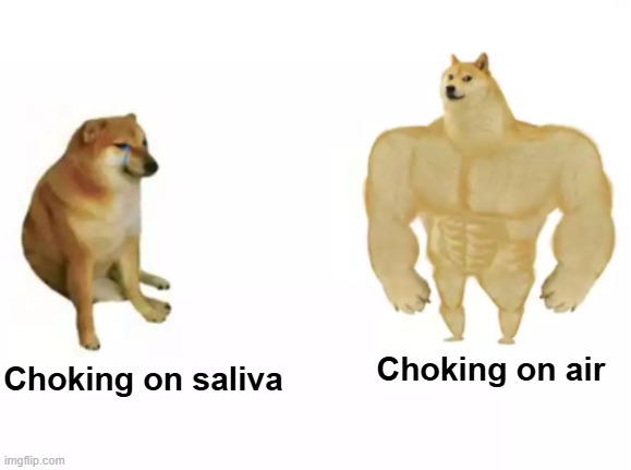 Choking on saliva Choking on air | image tagged in buff doge vs cheems reversed | made w/ Imgflip meme maker