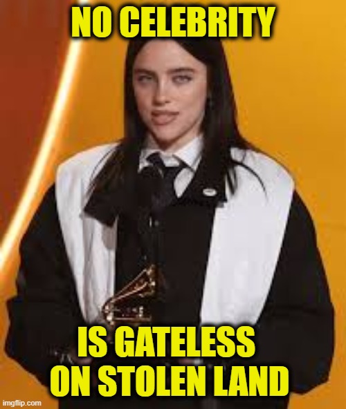 Clueless influencers | NO CELEBRITY; IS GATELESS 
ON STOLEN LAND | image tagged in celebrities,leftists | made w/ Imgflip meme maker