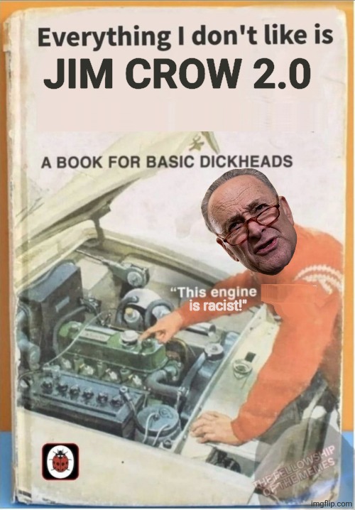 Everything I don't like 1 | JIM CROW 2.0; is racist!" | image tagged in everything i don't like 1,political meme,chuck schumer | made w/ Imgflip meme maker