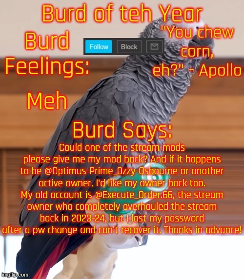 Burd of teh Year's Announcement Template | Meh; Could one of the stream mods please give me my mod back? And if it happens to be @Optimus-Prime_Ozzy-Osbourne or another active owner, I'd like my owner back too. My old account is @Execute_Order.66, the stream owner who completely overhauled the stream back in 2023-24, but I lost my password after a pw change and can't recover it. Thanks in advance! | image tagged in burd of teh year's announcement template | made w/ Imgflip meme maker