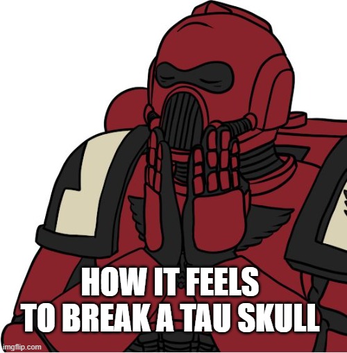 Warhammer feels good | HOW IT FEELS TO BREAK A TAU SKULL | image tagged in warhammer feels good | made w/ Imgflip meme maker