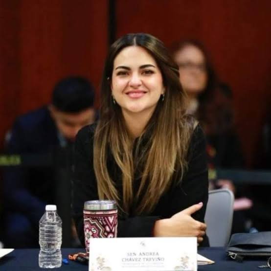 Andrea Chavez Blank Meme Template