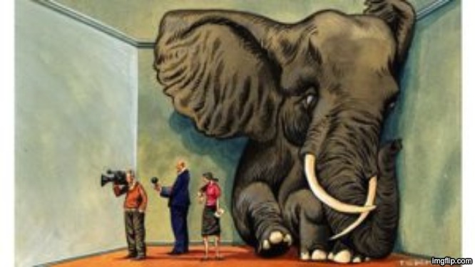 Elephant in the room | image tagged in elephant in the room | made w/ Imgflip meme maker