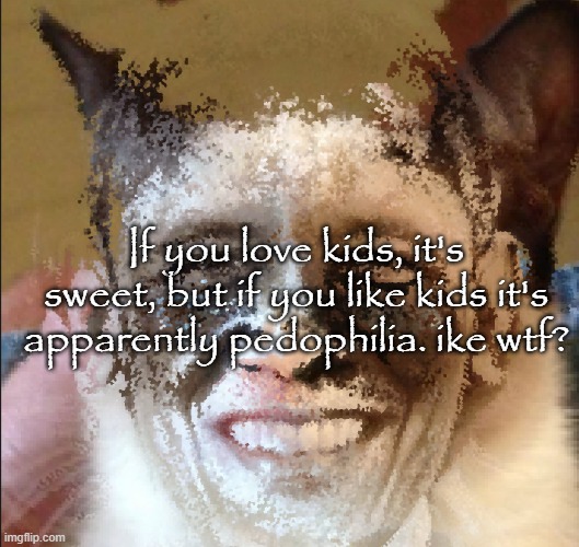 Cat obama | If you love kids, it's sweet, but if you like kids it's apparently pedophilia. ike wtf? | image tagged in cat obama | made w/ Imgflip meme maker
