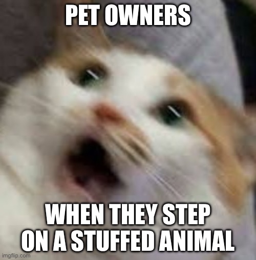 Mini panic attack | PET OWNERS; WHEN THEY STEP ON A STUFFED ANIMAL | image tagged in aaaaaaaaaaaaaaaa cat,pet humor | made w/ Imgflip meme maker
