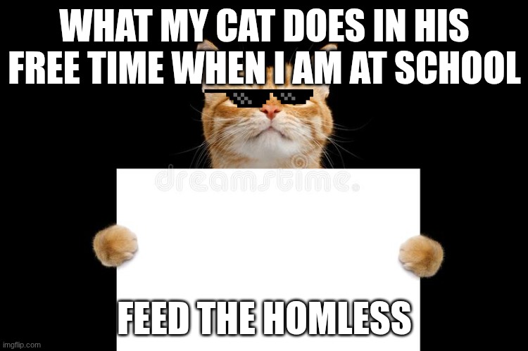Cat sign | WHAT MY CAT DOES IN HIS FREE TIME WHEN I AM AT SCHOOL; FEED THE HOMLESS | image tagged in cat sign | made w/ Imgflip meme maker