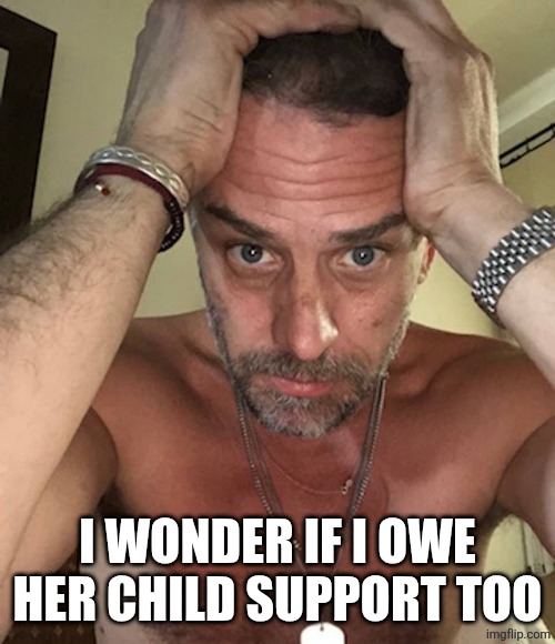 Sad Hunter Biden | I WONDER IF I OWE HER CHILD SUPPORT TOO | image tagged in sad hunter biden | made w/ Imgflip meme maker