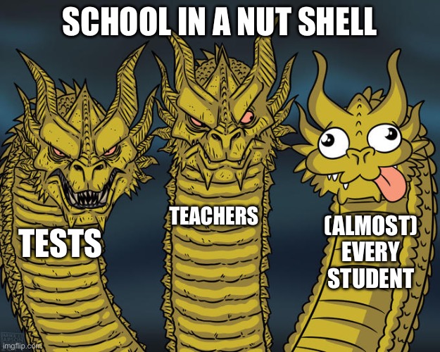 School in a nutshell | SCHOOL IN A NUT SHELL; TEACHERS; (ALMOST) EVERY STUDENT; TESTS | image tagged in three-headed dragon | made w/ Imgflip meme maker