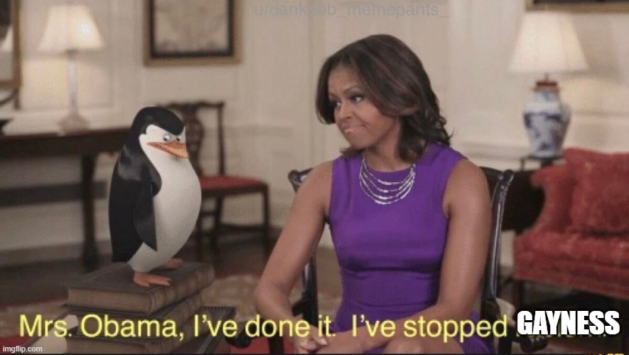 Mrs. Obama, I've done it. I've stopped racism | GAYNESS | image tagged in mrs obama i've done it i've stopped racism | made w/ Imgflip meme maker