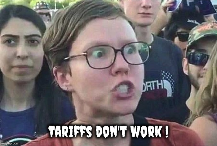Triggered Liberal | Tariffs don't work ! | image tagged in triggered liberal | made w/ Imgflip meme maker