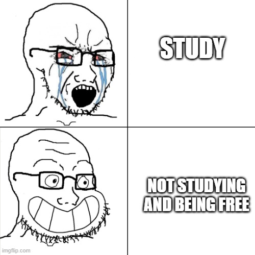 Hypocritical Wojak | STUDY; NOT STUDYING AND BEING FREE | image tagged in hypocritical wojak | made w/ Imgflip meme maker
