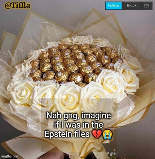 I would be so bummed out and cooked to a burnt crisp. | Nah gng, imagine if I was in the Epstein files 💔😭 | image tagged in tiffla valentine's day announcement template,epstein files | made w/ Imgflip meme maker