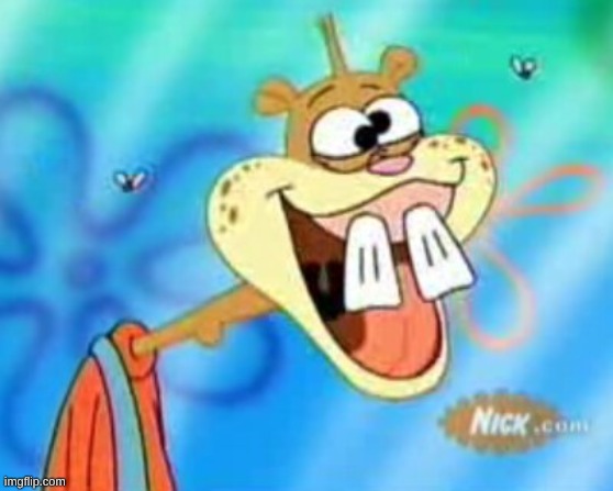 Sandy Cheeks Duhh | image tagged in sandy cheeks duhh | made w/ Imgflip meme maker