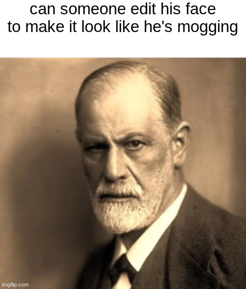 its for a project | can someone edit his face to make it look like he's mogging | made w/ Imgflip meme maker