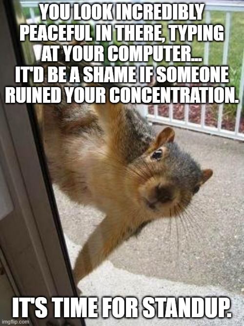 Break concentration squirrel | YOU LOOK INCREDIBLY PEACEFUL IN THERE, TYPING AT YOUR COMPUTER...
IT'D BE A SHAME IF SOMEONE RUINED YOUR CONCENTRATION. IT'S TIME FOR STANDUP. | image tagged in squirrel,software development,standup | made w/ Imgflip meme maker