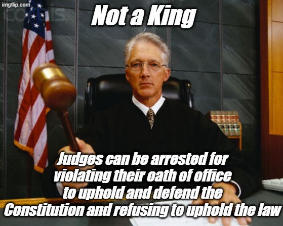 People and politicians need to stop believing judges are immune from accountability if they step outside of lawful boundaries. | Not a King; Judges can be arrested for violating their oath of office to uphold and defend the Constitution and refusing to uphold the law | image tagged in judge | made w/ Imgflip meme maker