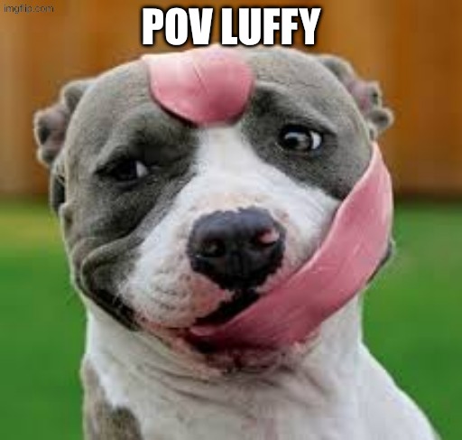 Luffy dog | POV LUFFY | image tagged in stretchy tongue dog,luffy,anime,memes | made w/ Imgflip meme maker