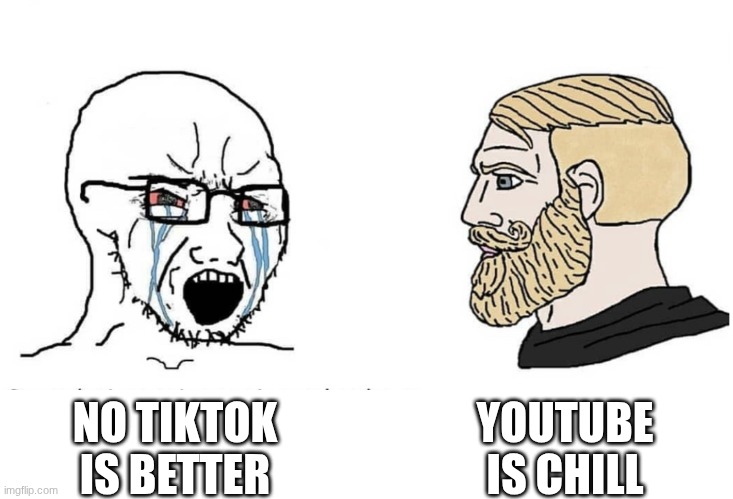Soyboy Vs Yes Chad | YOUTUBE IS CHILL; NO TIKTOK IS BETTER | image tagged in soyboy vs yes chad | made w/ Imgflip meme maker