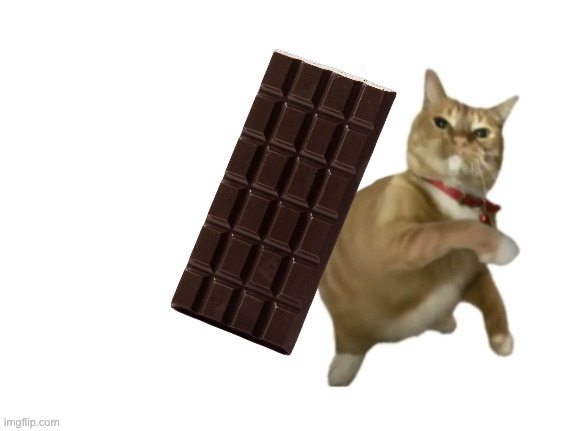 Cat throwing chocolate | image tagged in throwing cat new | made w/ Imgflip meme maker