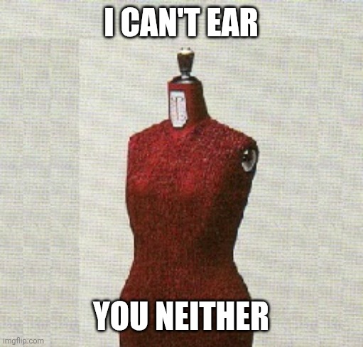 Disguised mannequin IG-friendly | I CAN'T EAR; YOU NEITHER | image tagged in adidas | made w/ Imgflip meme maker