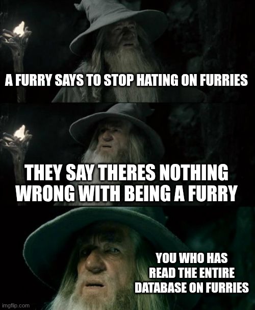 Confused Gandalf | A FURRY SAYS TO STOP HATING ON FURRIES; THEY SAY THERES NOTHING WRONG WITH BEING A FURRY; YOU WHO HAS READ THE ENTIRE DATABASE ON FURRIES | image tagged in memes,confused gandalf | made w/ Imgflip meme maker