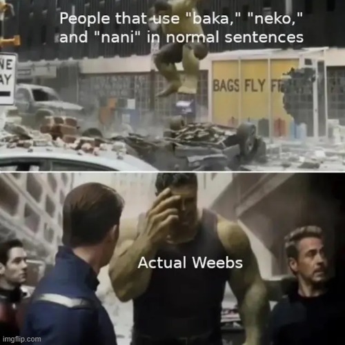 22 more days till my birthday | image tagged in weebs,anime | made w/ Imgflip meme maker