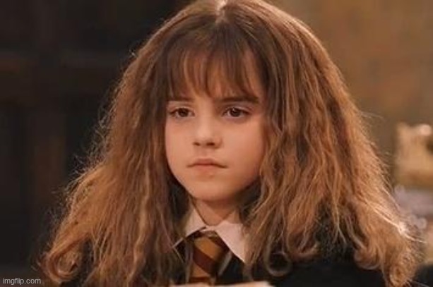 Harry Potter - Miss Granger is NOT amused | image tagged in harry potter - miss granger is not amused | made w/ Imgflip meme maker