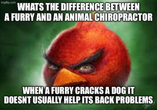 I’m sorry for posting this | WHATS THE DIFFERENCE BETWEEN A FURRY AND AN ANIMAL CHIROPRACTOR; WHEN A FURRY CRACKS A DOG IT DOESNT USUALLY HELP ITS BACK PROBLEMS | image tagged in realistic red angry birds | made w/ Imgflip meme maker