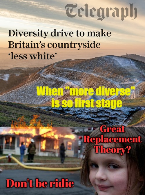 The guy's own words in video interview | When "more diverse" 
is so first stage; Great Replacement Theory? Don't be ridic | image tagged in diversity,woke,chaos girl,racist,uk | made w/ Imgflip meme maker