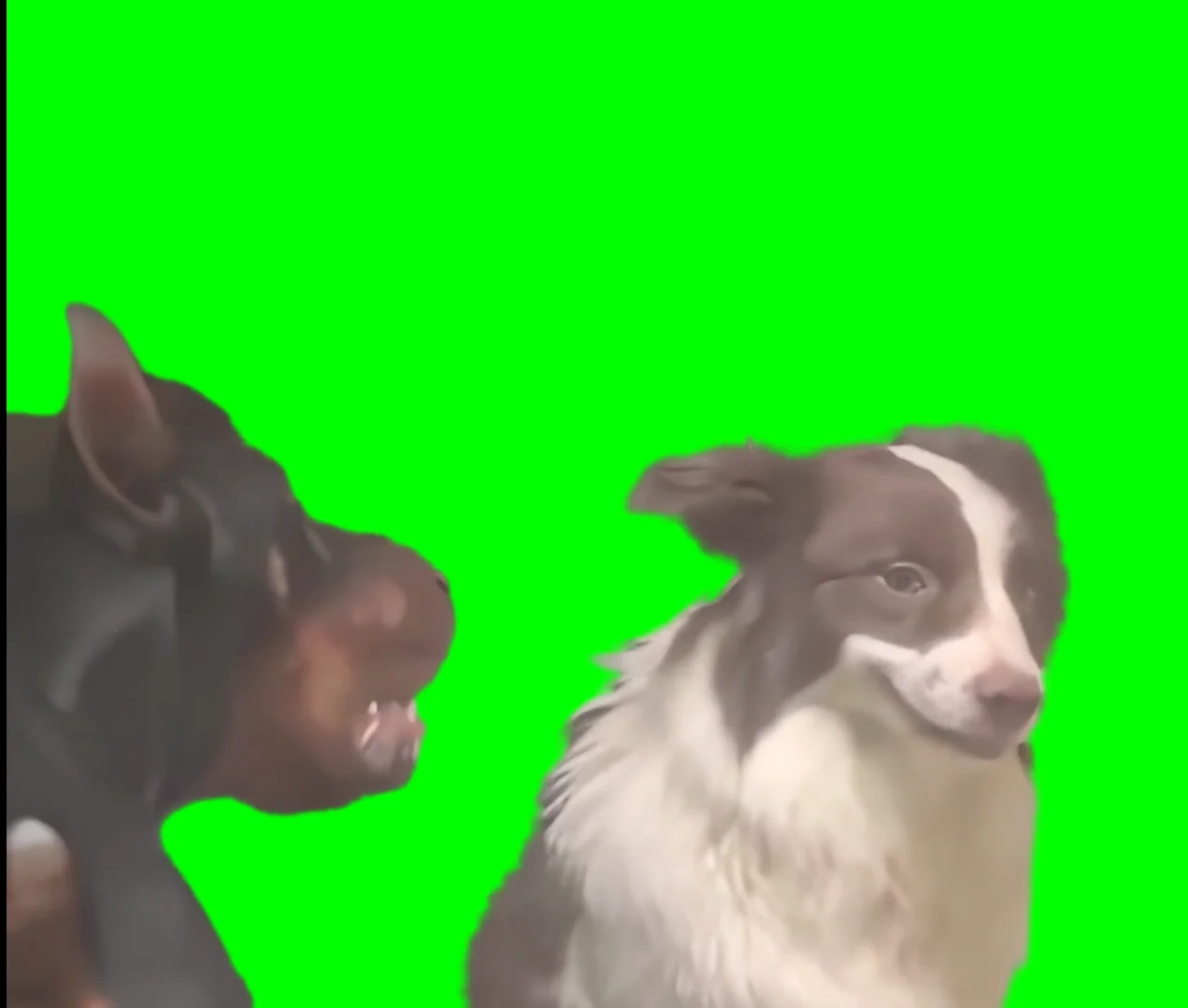 ragebait Blank Meme Template