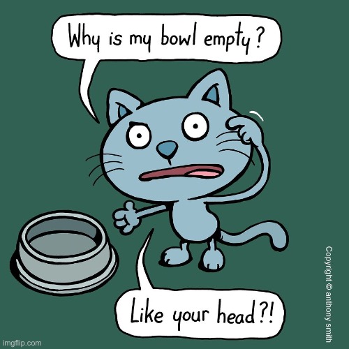 Cattitude | image tagged in cats,comics,cattitude,empty bowl,empty head | made w/ Imgflip meme maker