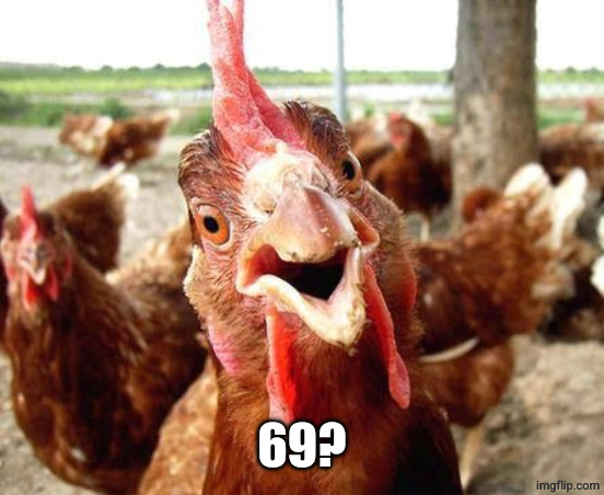 Chicken | 69? | image tagged in chicken | made w/ Imgflip meme maker