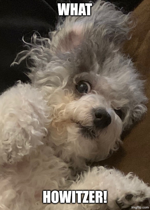 Say what? | WHAT HOWITZER! | image tagged in say what | made w/ Imgflip meme maker