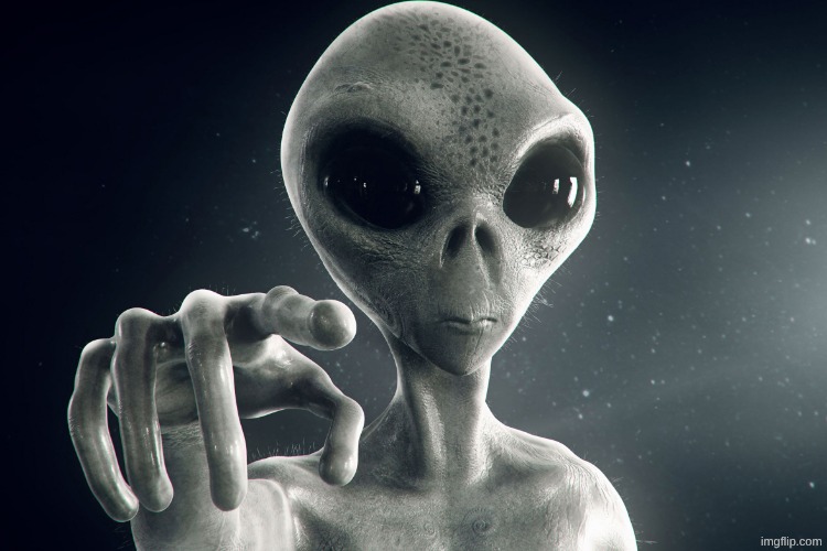 Alien Pointing | image tagged in alien pointing | made w/ Imgflip meme maker